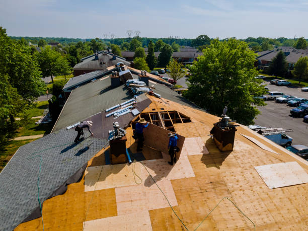 Best Metal Roofing Contractor  in Denver City, TX