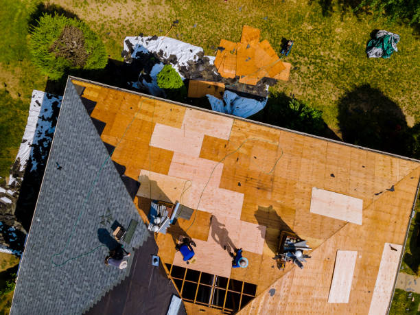 Best Roof Repair Services  in Denver City, TX