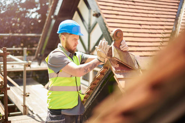 Best Roofing Contractor Near Me  in Denver City, TX